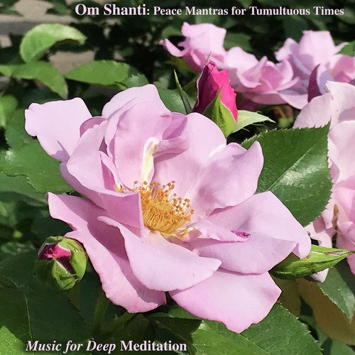 Om Shanti: Peace Mantras for Tumultuous Times_poster_image