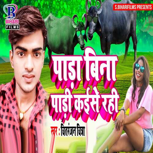 Para Bina Pari Kaise Rahi