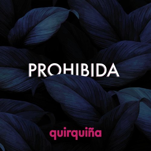 Prohibida (Remake 2020)_poster_image