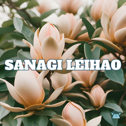 Sanagi Leihao