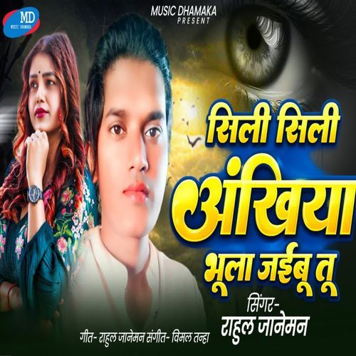 Sili Sili Akhiya Bhula Jaibu Tu
