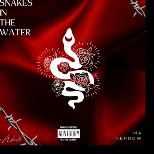 Snake In The Water