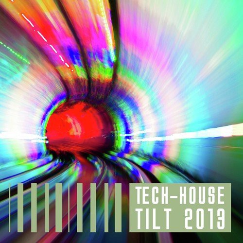 Tech House Tilt 2013