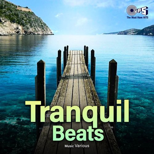 Tranquil Beats