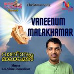 Vaneenum Malakhamar artwork