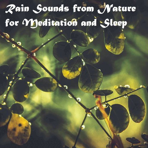 18 Rain Sounds. Nature, Meditation, Sleep