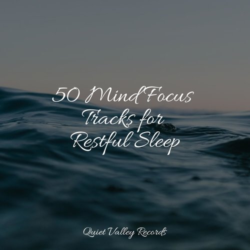 50 Mind Focus Tracks for Restful Sleep_poster_image