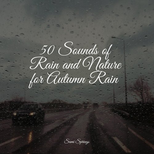 50 Mindfulness Rain Sounds for Sleep_poster_image