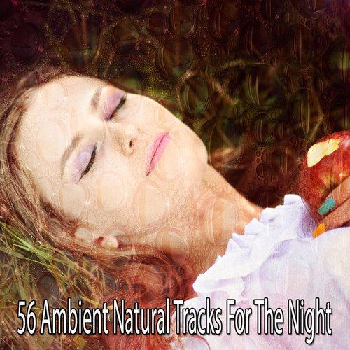56 Ambient Natural Tracks For The Night