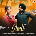 Amli