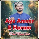 Aye Ameer E Haram