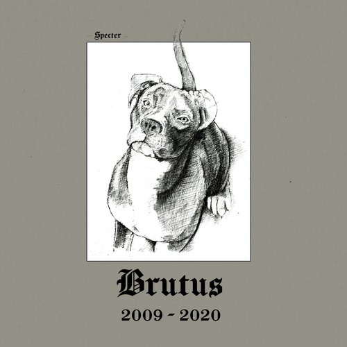 BRUTUS (2009-2020)_poster_image