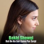 Bal De Ke Sor Zama Par Zargi