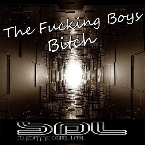 Bitch cover art