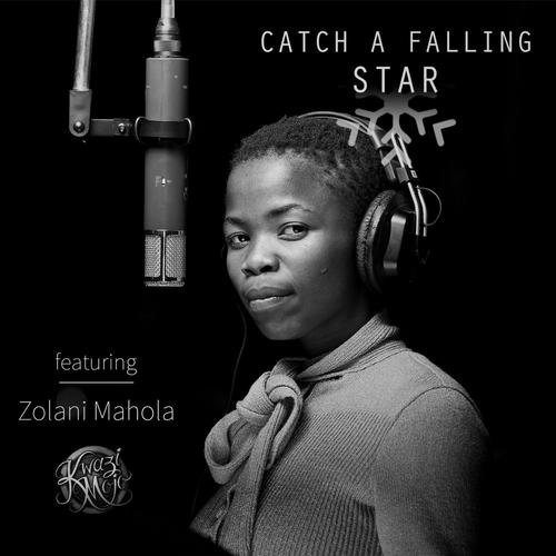 Catch a Falling Star (feat. Zolani Mahola)