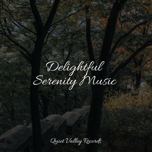 Delightful Serenity Music