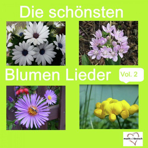 Die schönsten Blumen Lieder, Vol. 2