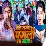 Dil Lagebo Pagali Ham Gaja Se