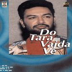 Do Tara Vajda Ve