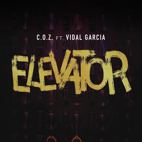 Elevator (feat. Vidal Garcia) cover art