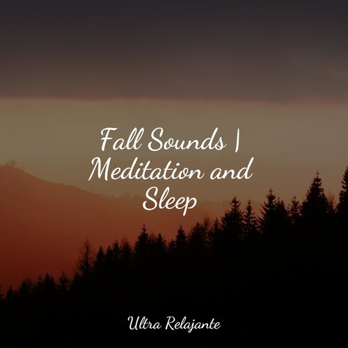 Fall Sounds | Meditation and Sleep