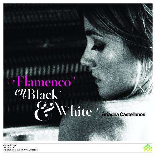 Flamenco En Black &amp; White_poster_image