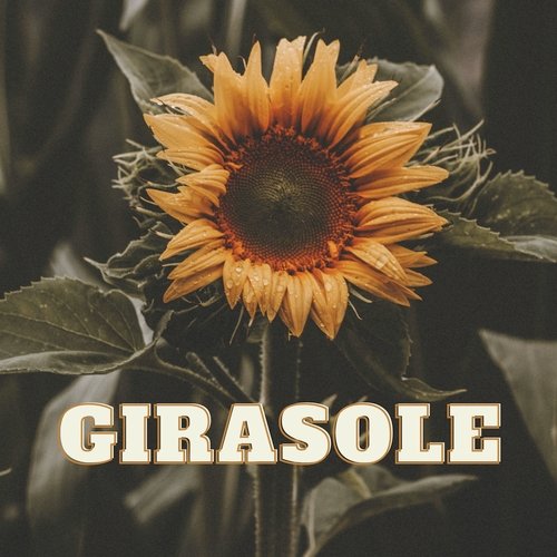 Il giardino dei semplici cover art