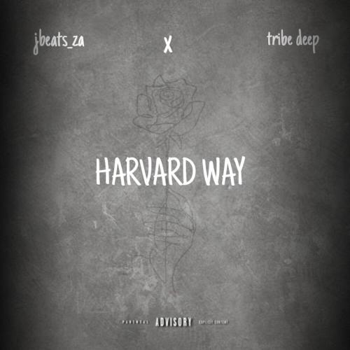 Harvard wayy