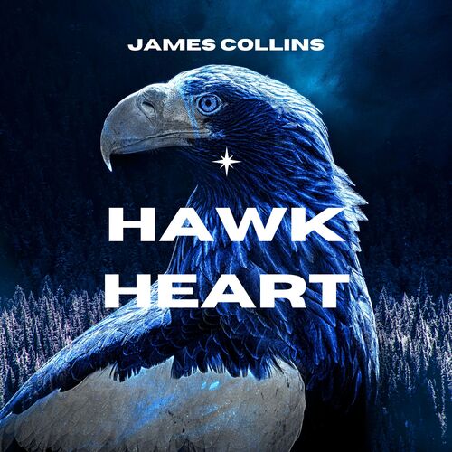 Hawk Heart_poster_image