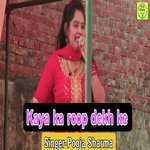 Karu hath jod parnam