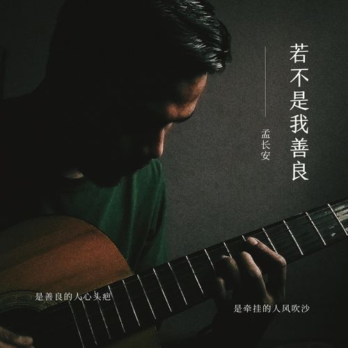 若不是我善良 (伴奏版) cover art
