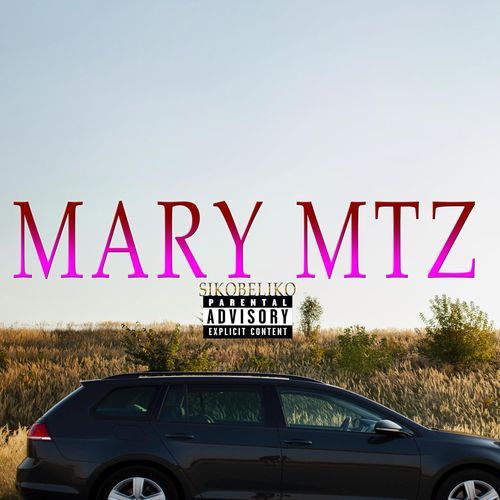 Mary Martinez cover art