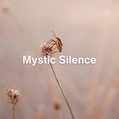 Mystic Silence_poster_image