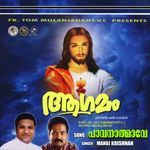 Pavanathmave