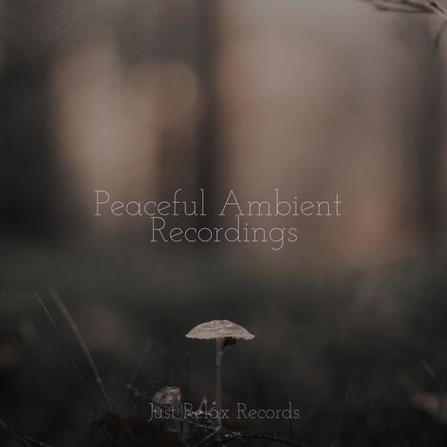 Peaceful Ambient Recordings