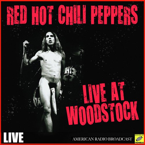 Red Hot Chili Peppers - Live at Woodstock (Live)