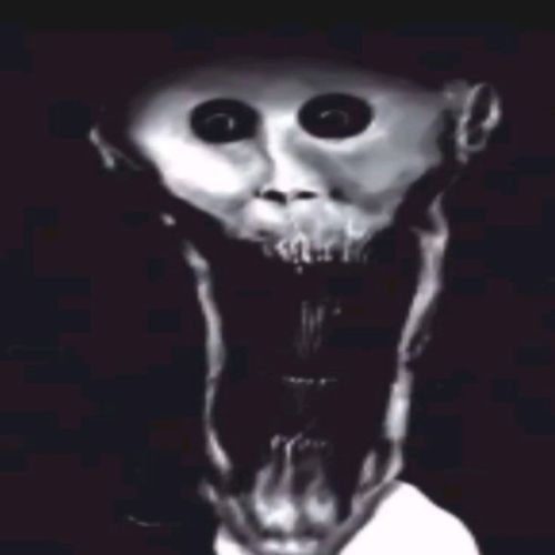 S̶̯̫̯̼̭͎̪͔̲̀̅̋̀̚T̶̤̙̥̗͍̙͈͖̘͂̾̆̌́̂̔͠U̵̙͍̲͕͕͒̆̈́̌͋̿Ṗ̷̞̖̙̬̭̬͒̐̒̀̃͂̈́̊̈́I̶̼̤̤͔̥̖͑̈͋̈͒̓̕̕͠͝Ḏ̴͗̃ ̸̹̔́B̶̢̭̳͚̩̖̦̱̪̏͝I̷͓̙̊T̵̠̠̦̟̮̹͔͔̍̿̈́̊̐̇̃̕͜...