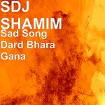 Sad Song Dard Bhara Gana