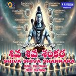 Shiva Shiva Shankara