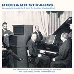 Atmospheric Scenes, Op. 9: No. 1, On the Silent Woodland Path (2024 Remaster)