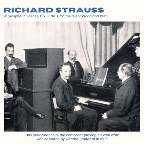 Strauss: Atmospheric Scenes, Op. 9: No. 1, On the Silent Woodland Path (2024 Remaster)