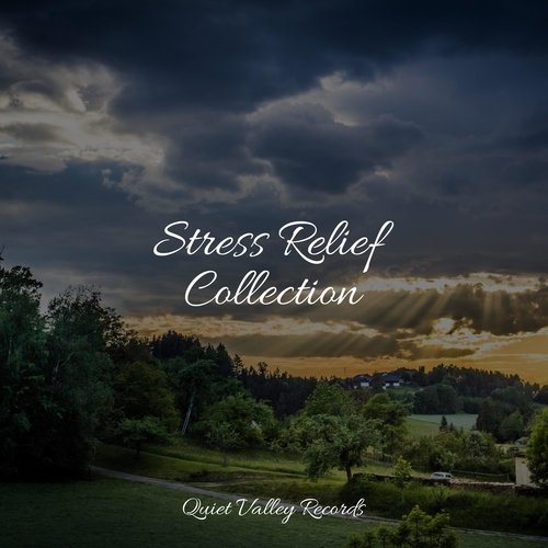 Music for Meditation cover art