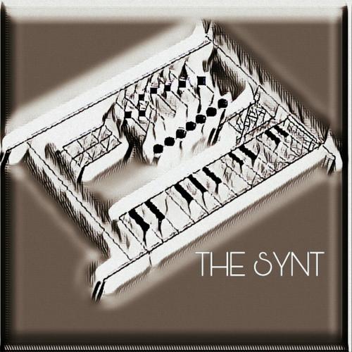 THE SYNT
