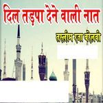 Tasleem Raza Barellavi