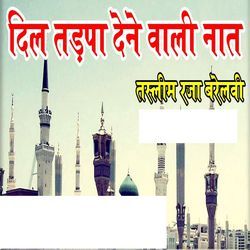 Tasleem Raza Barellavi