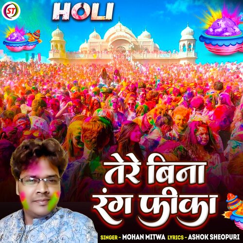 Tere Bina Rang Fika (Hindi)