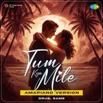 Tum Kya Mile - Amapiano Version