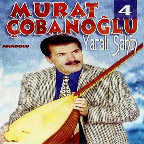 Yaralı Şahin Hikayesi cover art