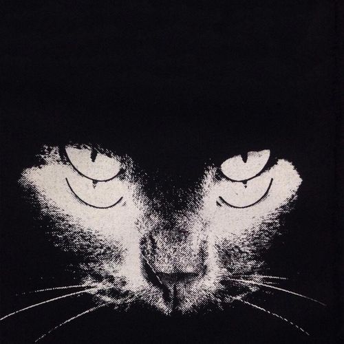 渡 cover art