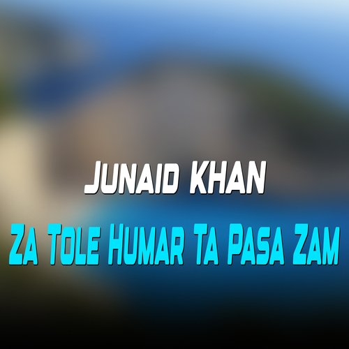 Za Tole Humar Ta Pasa Zam